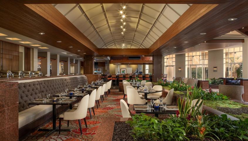 Hilton La Jolla Torrey Pines _ Acoustic Spot