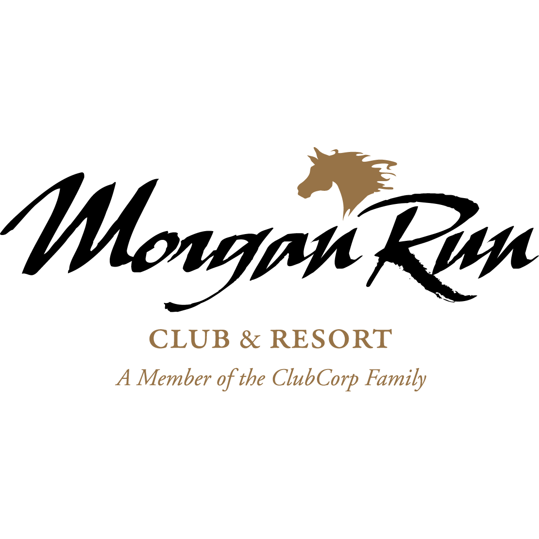 Acoustic Spot_ Morgan Run